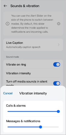 Turn Off Vibration Intensity